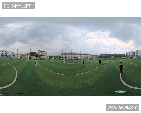 足球知识全景揭秘从基础规则到战术分析一网打尽